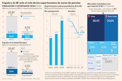 El sector porcino de la Unión Europea depende en gran medida de las exportaciones extracomunitarias, especialmente en el caso de España, que representa más del 31% de estas ventas. En 2024, la UE exportó 4,25 millones de toneladas fuera de sus fronteras, el 20% de su producción total. España, con 4,92 millones de toneladas producidas, exportó 2,72 millones, de las que 1,34 millones fueron a destinos extracomunitarios. China, Reino Unido y Filipinas son los principales compradores de carne porcina europea. Esta infografía muestra la evolución de las exportaciones, su distribución por países y la necesidad de una estrategia comunitaria que refuerce la posición global del sector.