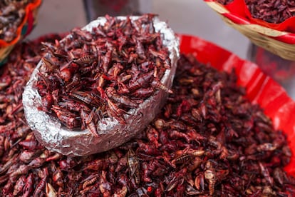 Comer unos 100 gramos de saltamontes como estos chapulines a la venta en el mercado Benito Juárez, de Oaxaca, México, permitiría sustituir las proteínas ofrecidas por una ración media de carne.