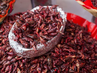 Eating about 100 grams of grasshoppers like these for sale in the Benito Juárez market in Oaxaca, Mexico, would allow you to replace the proteins offered by an average portion of meat.