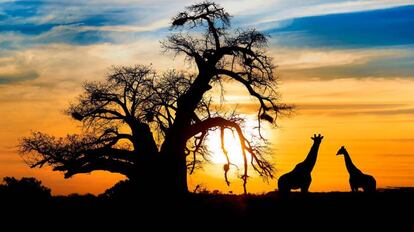 Puesta de sol sudafricana que ayuda a poner fin a todos nuestos males.