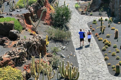 Vista general del Jard&iacute;n de Cactus de Lanzarote.