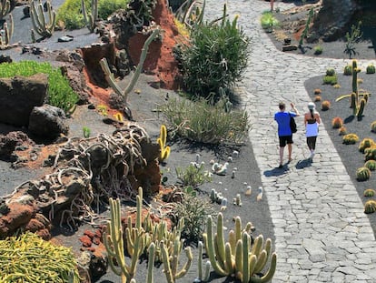 Vista general del Jard&iacute;n de Cactus de Lanzarote.