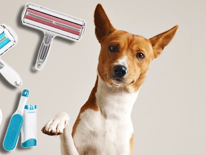 quitapelos ropa, amazon quitapelos, rodillo quita pelos, rodillo quitapelos lavable, quitapelos para tapizados, rodillo quita pelos reutilizable, quita pelos mascotas, quitapelos perro, el mejor quita pelos