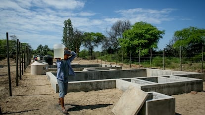 Planta potabilizadora de agua en Piura, Perú, gestionada por la comunidad.