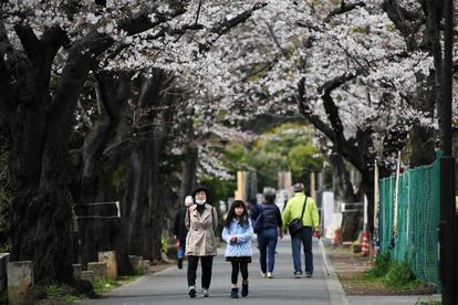 La costumbre del 'hanami' comenzó entre los años 710 y 794. El florecimiento coincide con el comienzo de la temporada de plantación del arroz, con lo que en el pasado se hacían ofrendas a las divinidades bajo los cerezos para pedir una cosecha abundante. Actualmente, la primavera marca el comienzo de un nuevo año escolar, universitario y fiscal. En la imagen, transeúntes caminan por una calle de Tokio (Japón) rodeada de cerezos en flor, este martes.