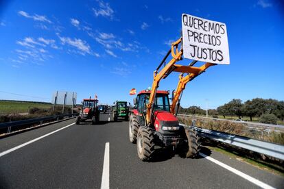 El éxito de las marchas, concentraciones, tractoradas y protestas demuestra la urgencia de tomar medidas, articular reformas y cambiar comportamientos en la cadena agroalimentaria, según los convocantes.