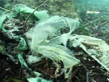 ‘La noche temática’ mira a la contaminación de mares y océanos