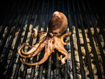 La carta cuenta con un repertorio de mariscos, donde no faltan las ostras Gillardeau nº 2 (5,2 euros la unidad), el erizo de Nigrán (6 euros/unidad), las navajas gallegas de buceo a la brasa (7 euros/100 gramos), los berberechos de Cambados (9 euros/100 gramos), del mismo sitio que la volandeira (12 euros/100 gramos), o los percebes de Bueu (30 euros/100 gramos).