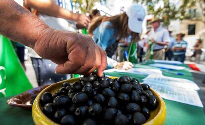 Aceitunas negras. 