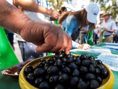 Aceitunas negras. 