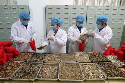 Trabajadores de una fábrica de productos de medicina tradicional china en Fuzhou, provincia de Jiangxi, en febrero pasado.