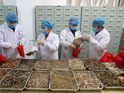 Trabajadores de una fábrica de productos de medicina tradicional china en Fuzhou, provincia de Jiangxi, en febrero pasado.