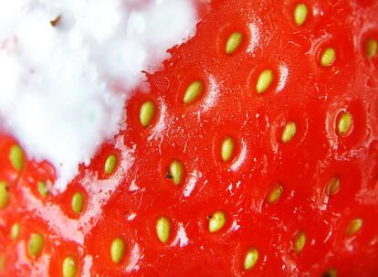 Detalle de una fresa con crema que se puede degustar en el campeonato de tenis de Wimbledon, 2 de julio de 2013.