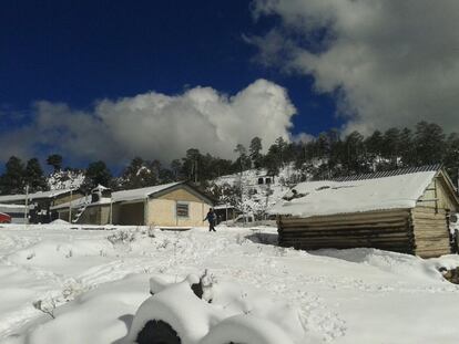 La Comisión Nacional del Agua reportó nevadas en los municipios de Tepehuanes y Guanaceví, Durango.