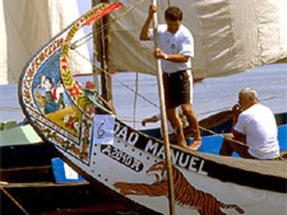 Barcos moliceiros de velas blancas en la ría de Aveiro, utilizados para recoger el molico, algas y limos fertilizantes.