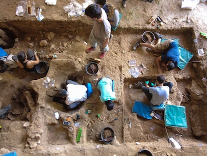 Excavaciones en la zona de La Malia (Guadalajara).