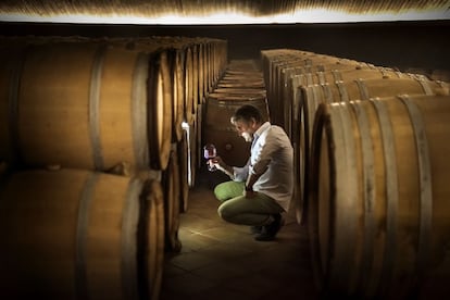 Alvaro Palacios, viticultor autor de La Ermita, en la sala de barricas de su bodega en el pueblo de Gratallops, el corazón del Priorato.
