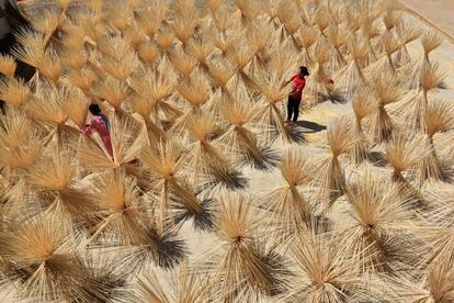 Trabajadores de una empresa de bambú secan palos de este material casi terminados en una localidad del condado de Xingan (China).