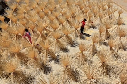 Trabajadores de una empresa de bambú secan palos de este material casi terminados en una localidad del condado de Xingan (China).