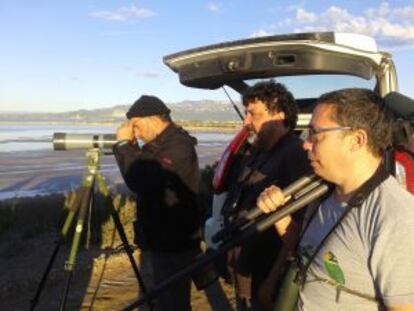 Els millors 'birdwatchers' al delta de l'Ebre.