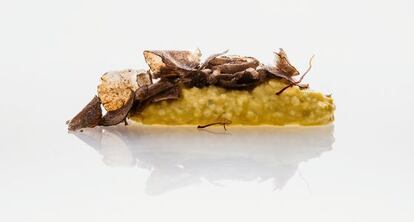 'Risoto' a la milanesa (de coliflor).