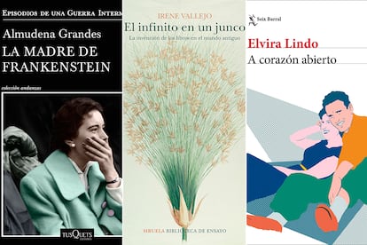 Las tres últimas obras de Almudena Grandes, Irene Vallejo y Elvira Lindo son las lecturas recomendadas por Lola Larumbe en este Día del Libro.