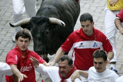 Varios mozos corren delante de uno de los toros de la ganadería cacereña de Victorino Martín, que han protagonizado el octavo y último de los encierros de los Sanfermines 2006.