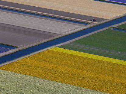 El parque Keukenhof en la ciudad de Lisse.