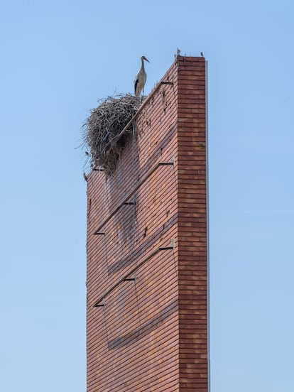 Una cigüeña, en Setúbal (Portugal). Con el cambio climático solo las aves más jóvenes migran hacia África.