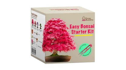 Kit para cultivar bonsáis de Grow Buddha