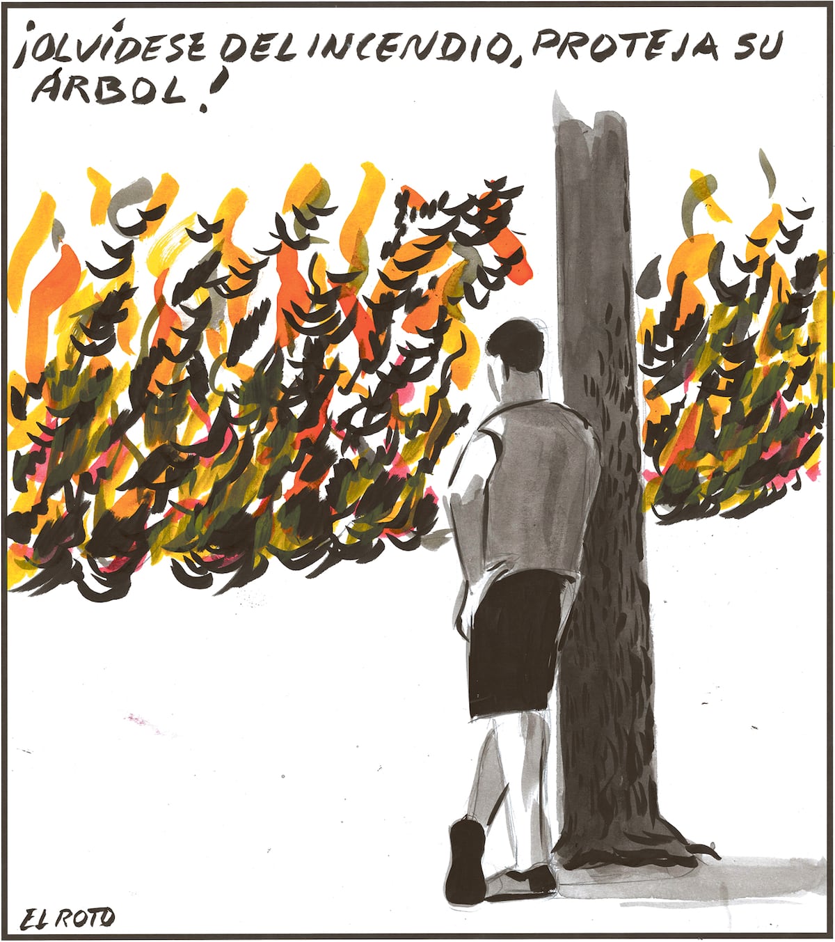El Roto: proteja su árbol