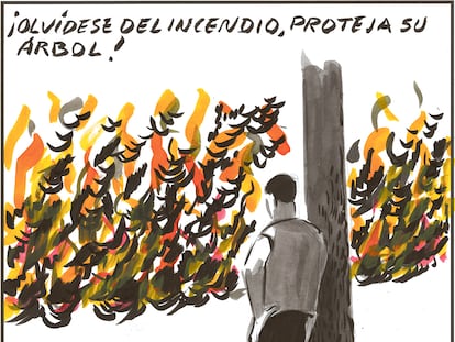 El Roto: proteja su árbol