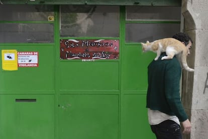 A cannabis association on Aurora street in Barcelona.