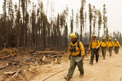 Firefighters from Mexico march along a fireguard as they battle wildfires near Vanderhoof, British Columbia, Canada July 13, 2023.