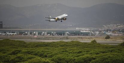 Un avión vuela por el espacio protegido de la Ricarda, en El Prat de Llobregat (Barcelona).