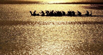 Remeros indios participan en la primera edición del campeonato All India Dragon Boat en el Lago Ulsoor en Bangalore (India).