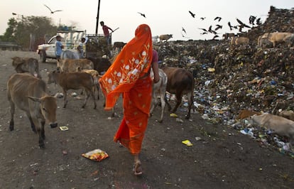 Una mujer camina con su ganado en un vertedero de basura en Gauhati (India), el 7 de marzo.