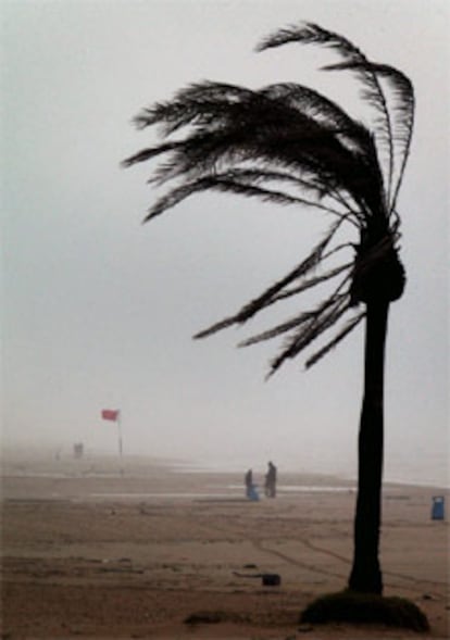 Aspecto que presentaba esta mañana la playa de Gandía, en Valencia.