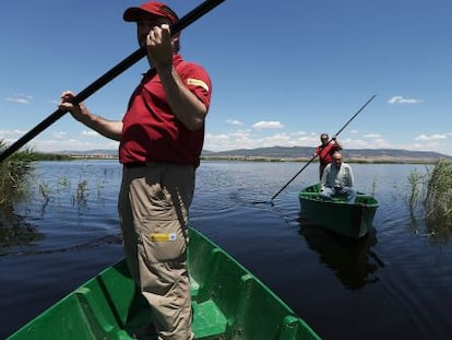 Las barcas de quilla plana vuelven a navegar por el humedal de las Tablas de Daimiel (Ciudad Real). 