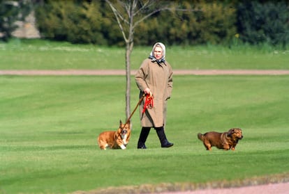 La reina Isabel II paseando a dos de sus perros (un corgi, a la izquierda, y un dorgi, a la derecha) en el castillo de Windsor, en 1994