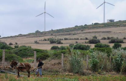 Un agricultor y al fondo, turbinas eólicas en Túnez.