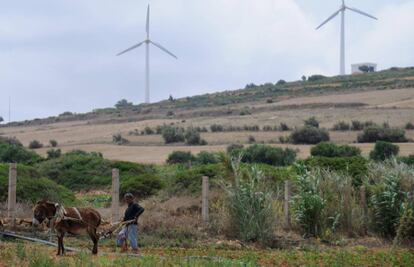 Un agricultor y al fondo, turbinas e&oacute;licas en T&uacute;nez.