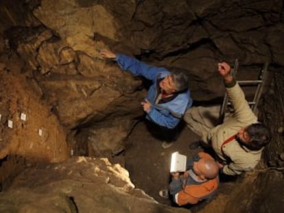 La secuencia genética de una adolescente que vivió hace más de 50.000 años en Siberia muestra que nació de una neandertal y un denisovano