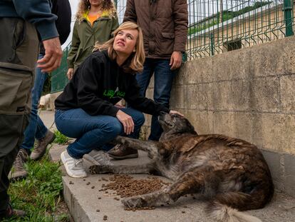 La ministra de Educación, Pilar Alegría, visitaba el domingo la protectora de animales Asproan en Santander.
