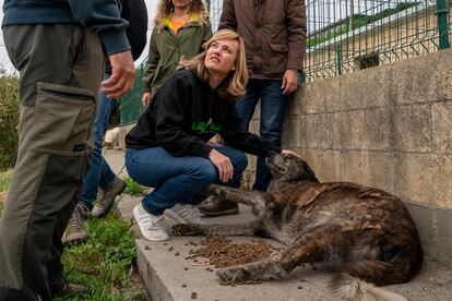 La ministra de Educación, Pilar Alegría, visitaba el domingo la protectora de animales Asproan en Santander.