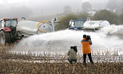 Ganaderos arrojan leche al campo en Arzúa (A Coruña) para protestar por los bajos precios.