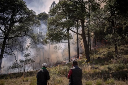 Brigadistas que combaten el incendio como parte de los programas sociales de la Ciudad de México y del Gobierno federal miran las llamas saltar la brecha cortafuego que hicieron con su azadones.