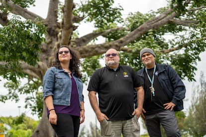 Karen Delgado Vega, Ángel A. Acosta Colón and Abel Méndez.