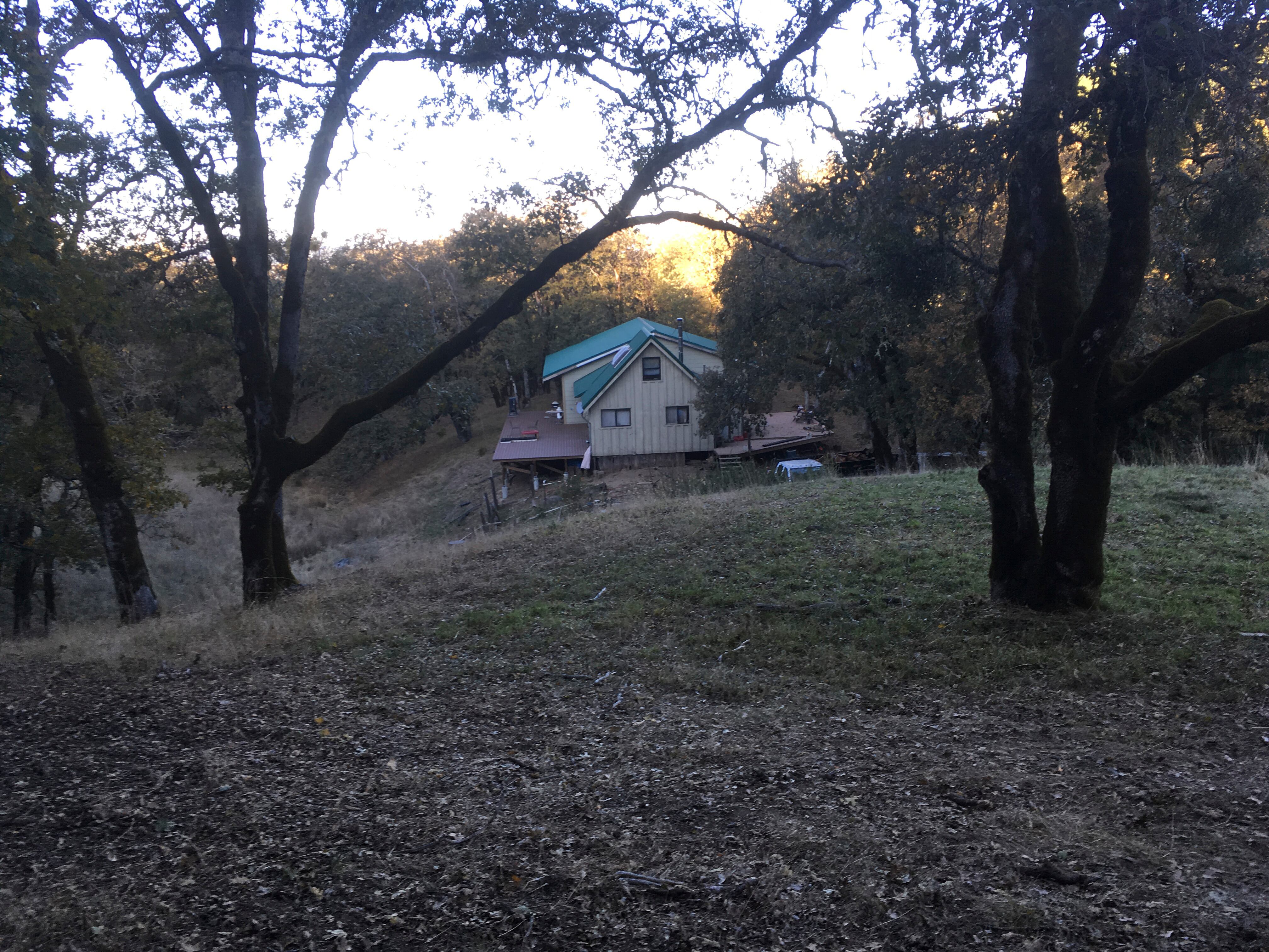 Tijeras, armas y drogas: historias de temporeros españoles en las granjas ilegales de marihuana en California