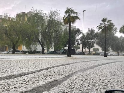 Así de brutal fue la granizada del jueves en Los Palacios (Sevilla), que ha causado muy graves en los campos de cultivo.